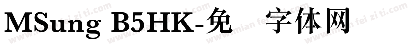 MSung B5HK字体转换